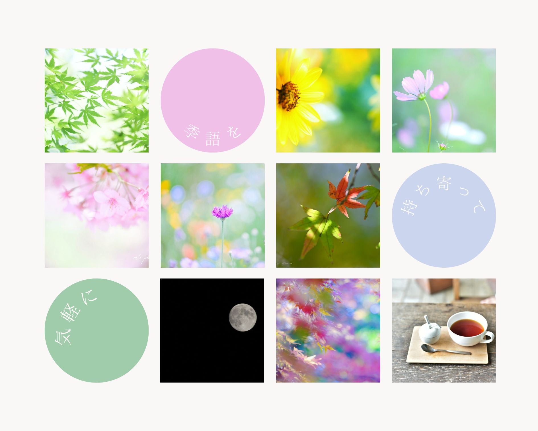 花拾い茶話会 秋の季語を味わう を開催しました 花拾いの庭